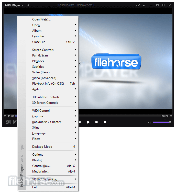 KMPlayer settings used when adjusting renderer and sync options